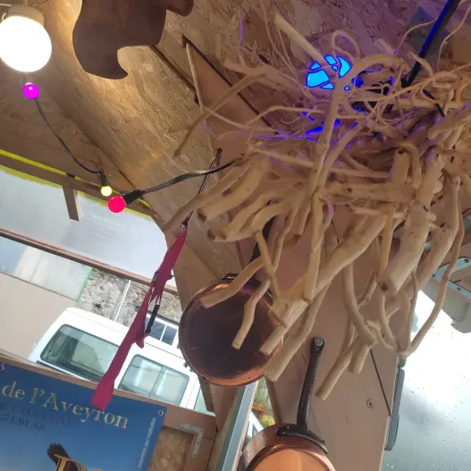 Soirée Guinguette à LA FERME du Lévézou